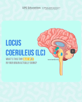 Locus Coeruleus.pdf
